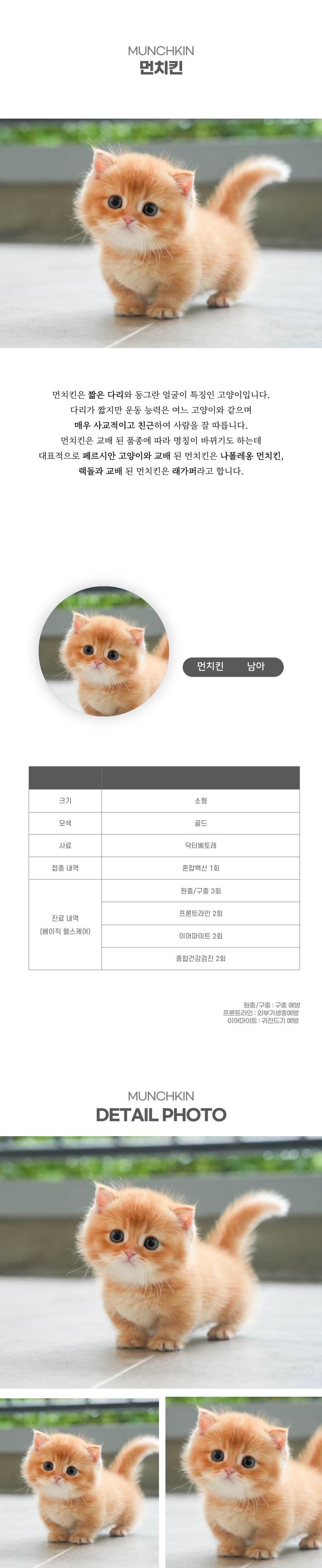먼치킨_상세이미지_2